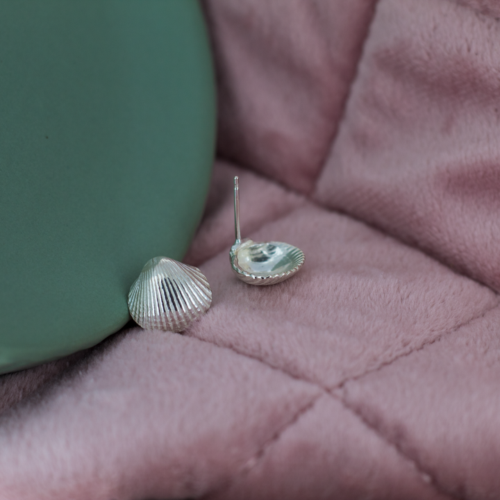 Shell Studs