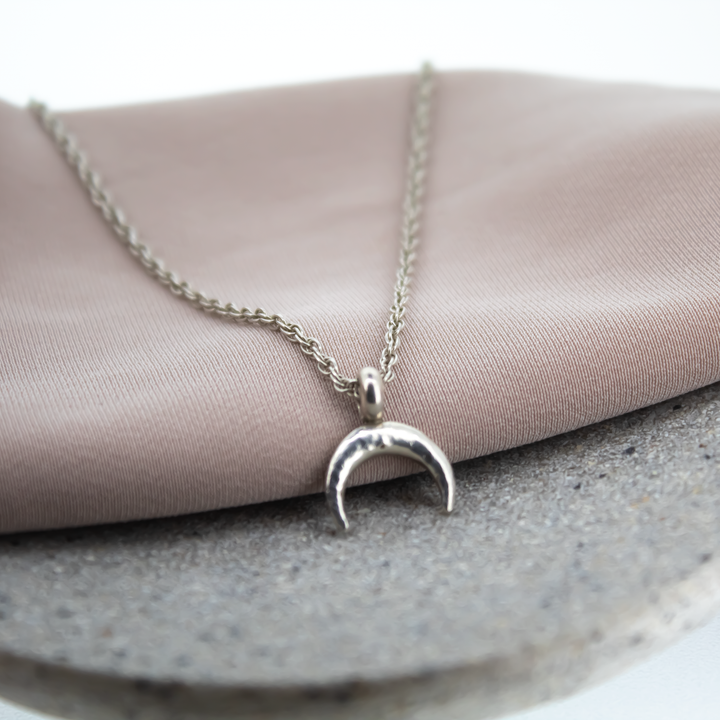 Crescent Horn Charm Necklace