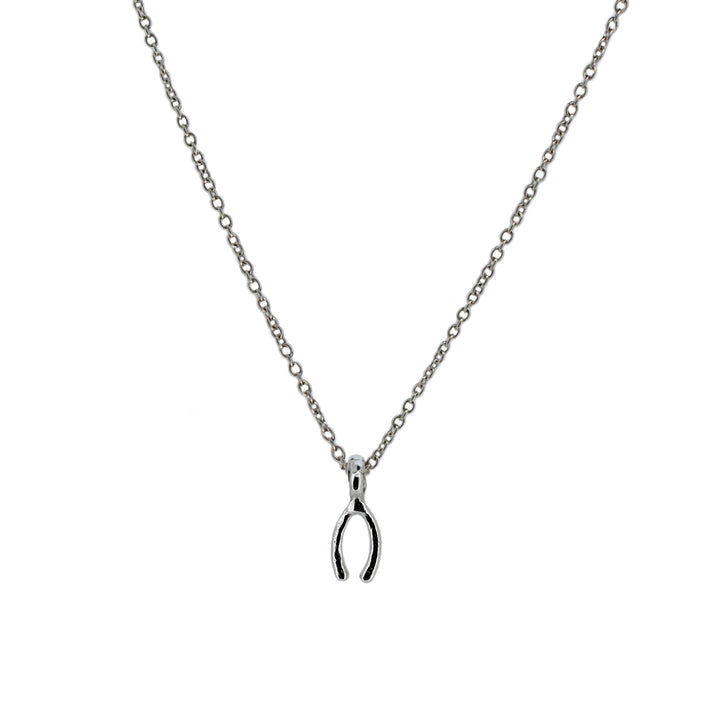 Lucky Charm Wishbone Necklace