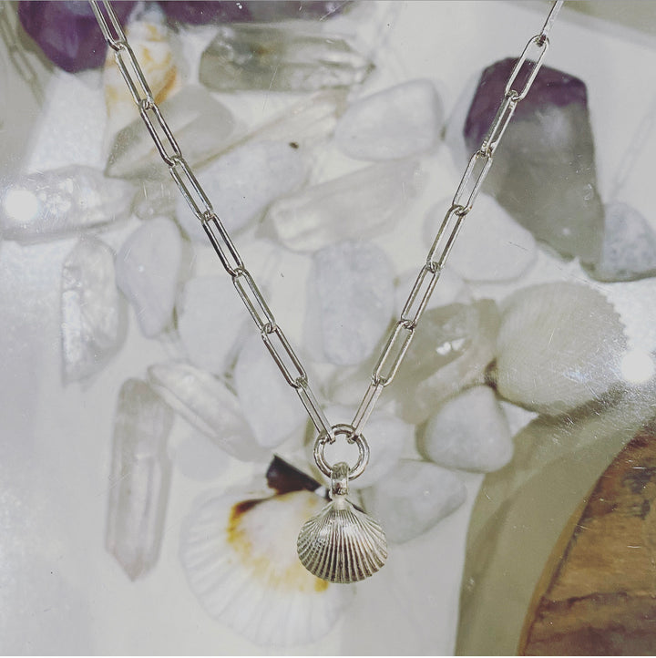 Shell Trace Chain Necklace