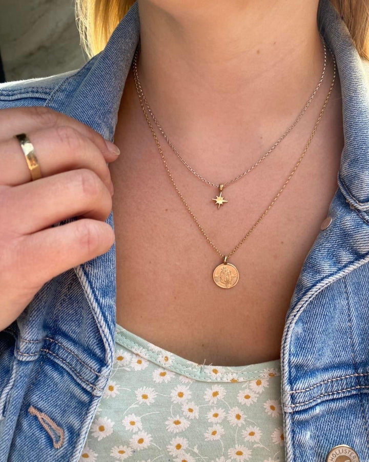 Gold North Star on Silver Necklace