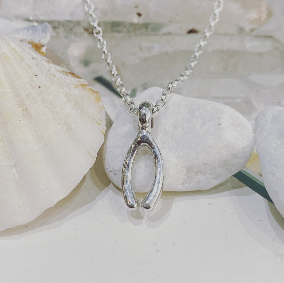 Lucky Charm Wishbone Necklace