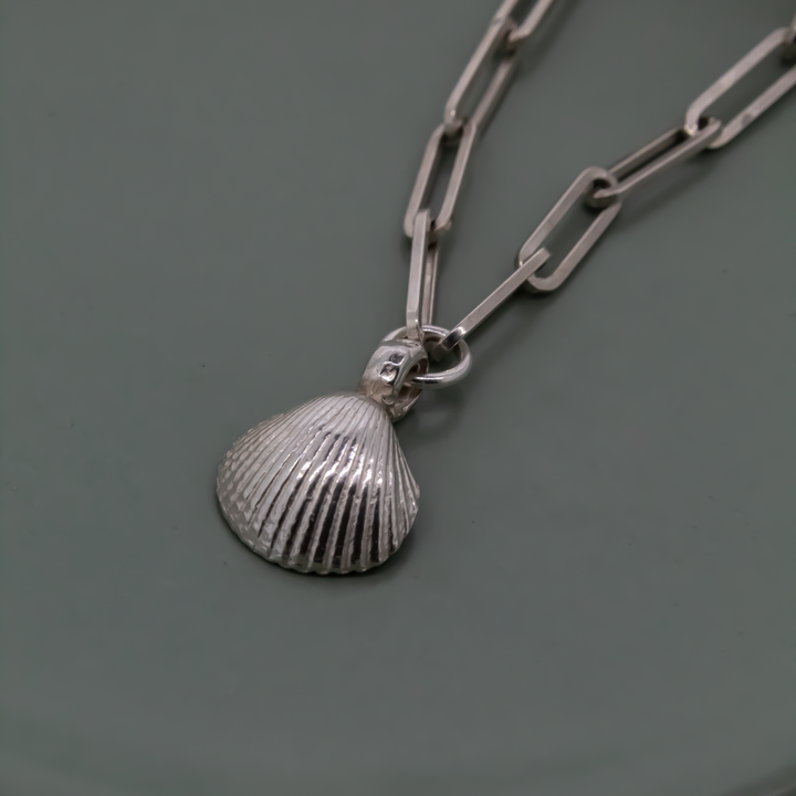 Shell Trace Chain Necklace