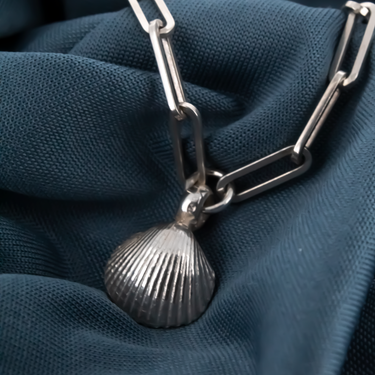 Shell Trace Chain Necklace