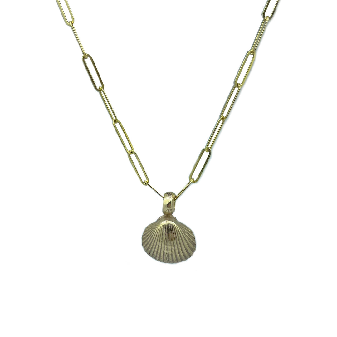 9ct Gold Baby Trace Chain and Shell