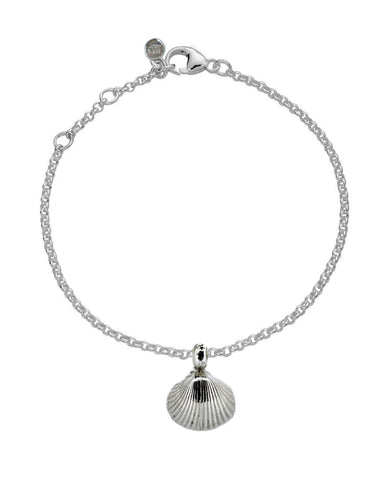 Shell Chain Anklet